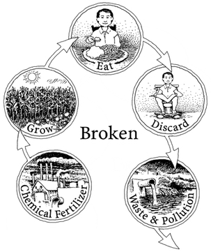 Metabolic cycles, from Jenkins, J. (2005). The humanure handbook: a guide. Grove City: Joseph Jenkins.
